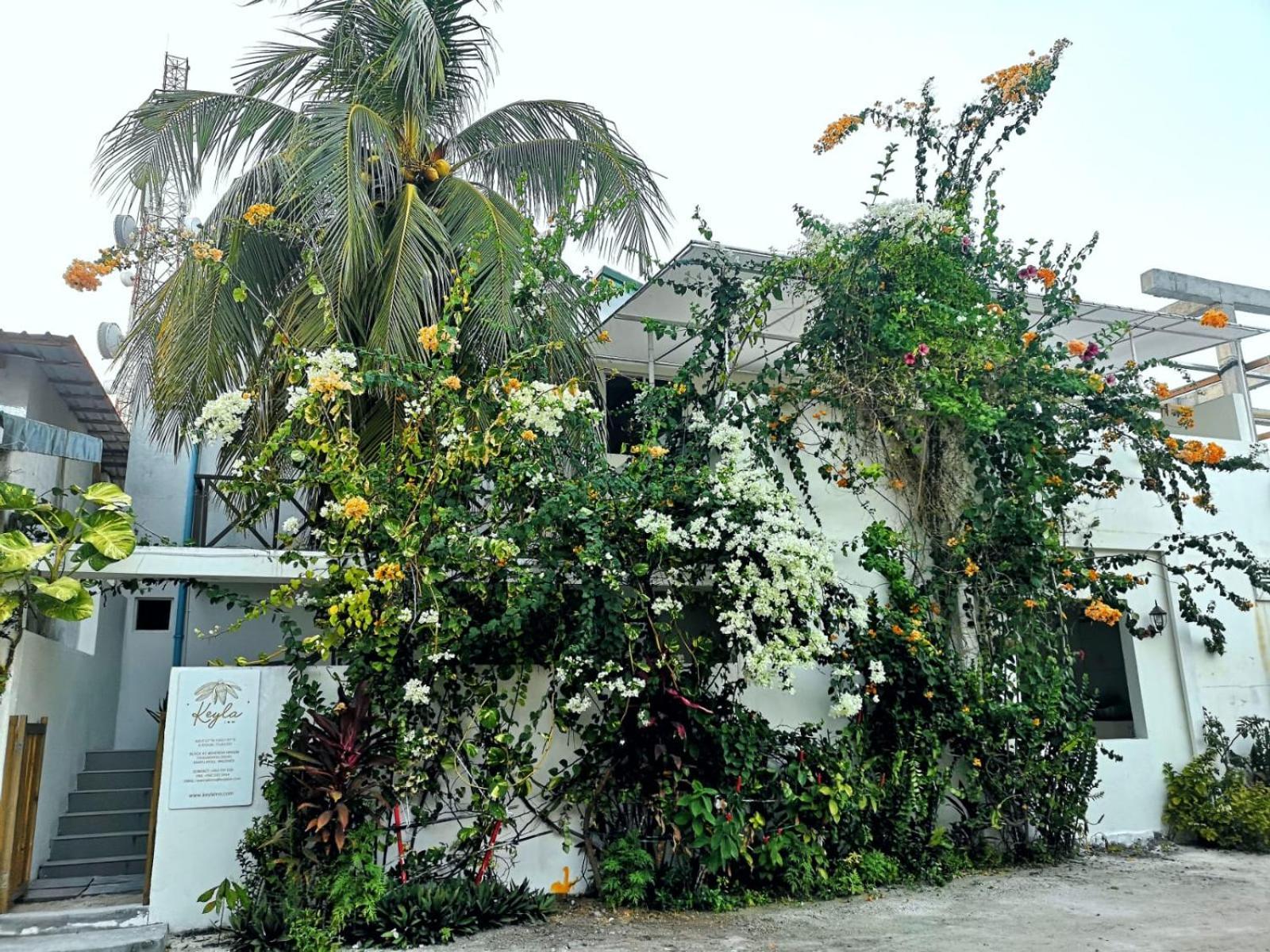 Keyla Inn Thulusdhoo Eksteriør bilde